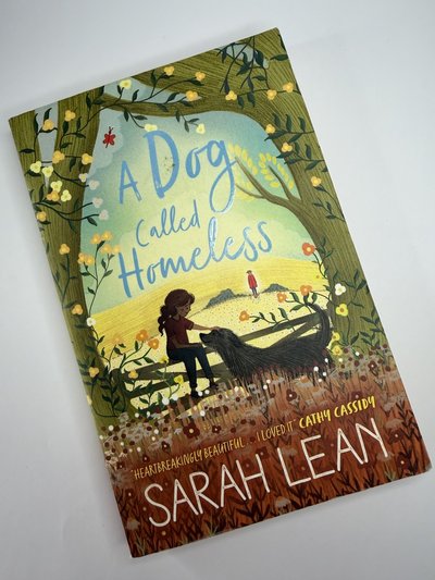A Dog called Homeless by Sarah Lean