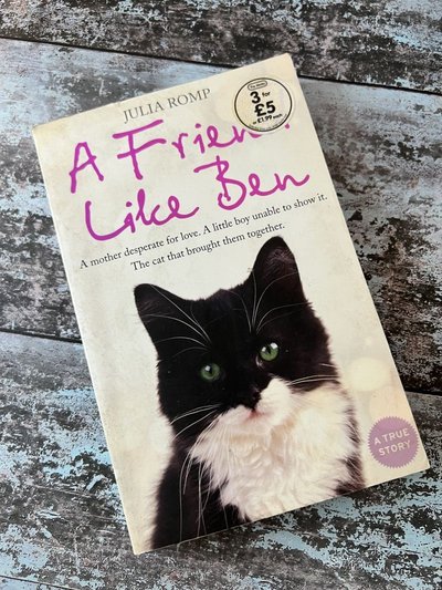 A Friend Like Ben by Julia Romp