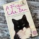 A Friend Like Ben by Julia Romp — secondhand book