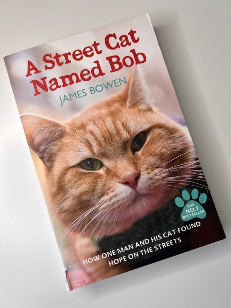A Street Cat Named Bob by James Bowen