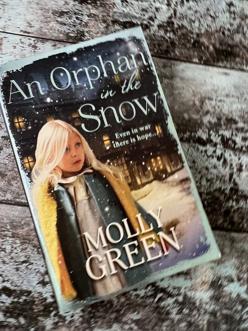 An Orphan in the Snow by Molly Green