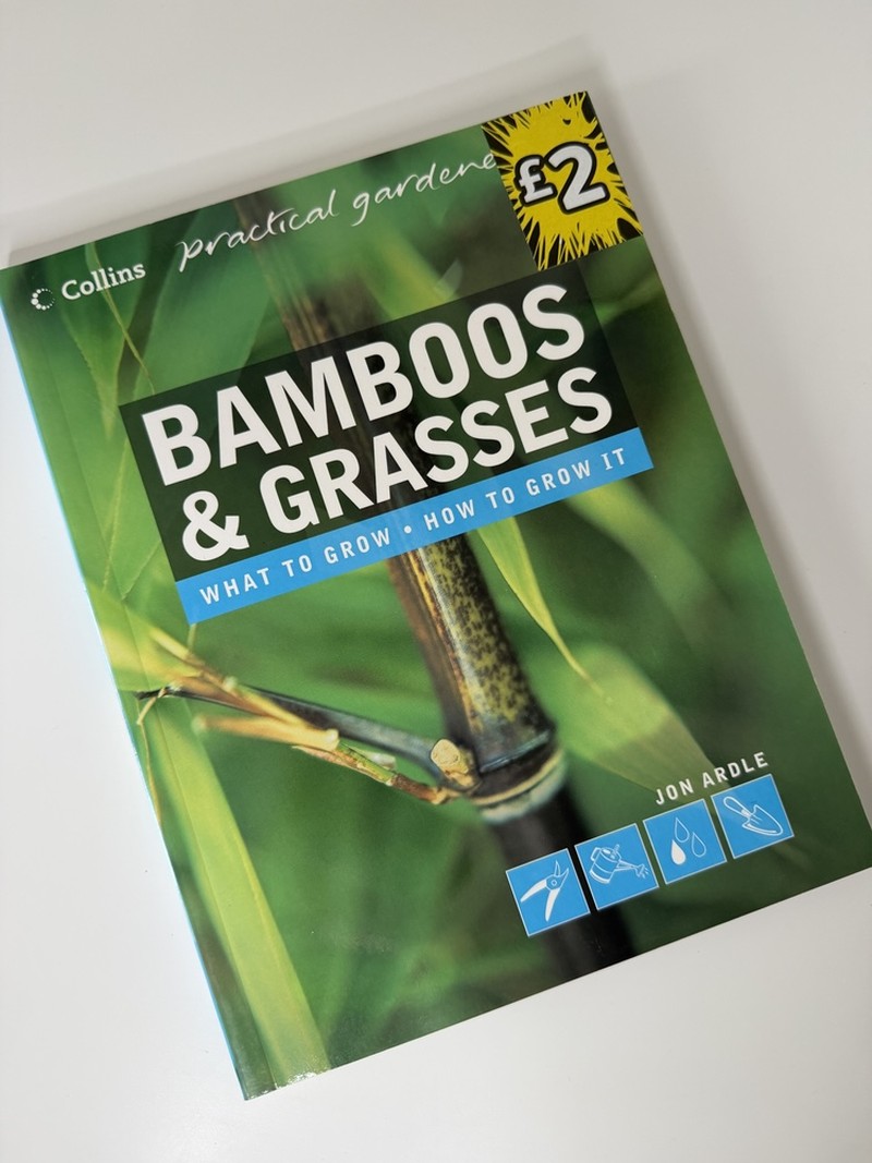 Bamboos and Grasses by Jon Ardle