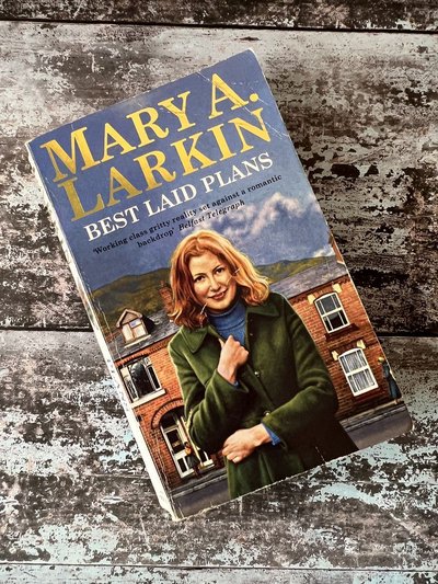 Best Laid Plans by Mary A Larkin