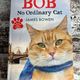 Bob: No Ordinary Cat by James Bowen — secondhand book