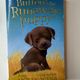 Buttons the Runaway Puppy by Holly Webb — secondhand book