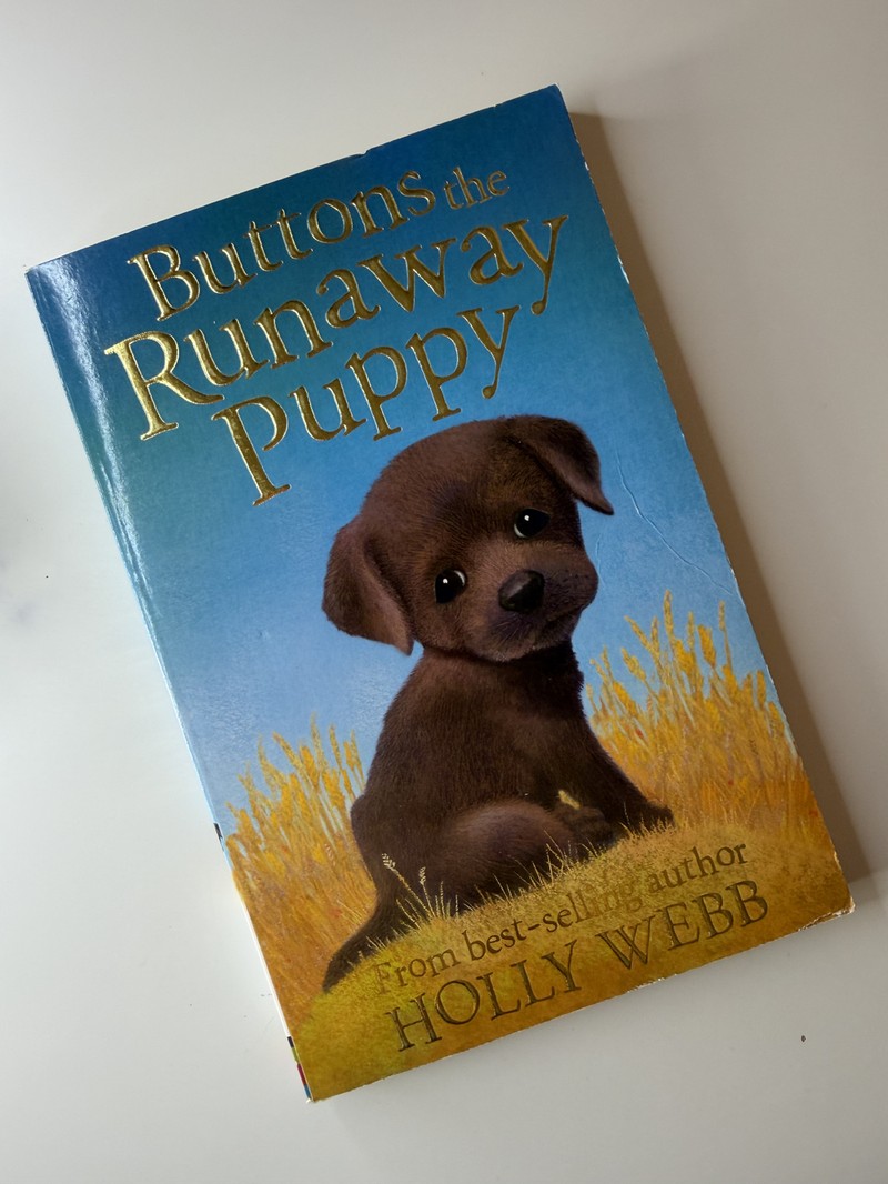 Buttons the Runaway Puppy by Holly Webb