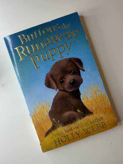 Buttons the Runaway Puppy by Holly Webb