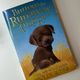 Buttons the Runaway Puppy by Holly Webb — secondhand book
