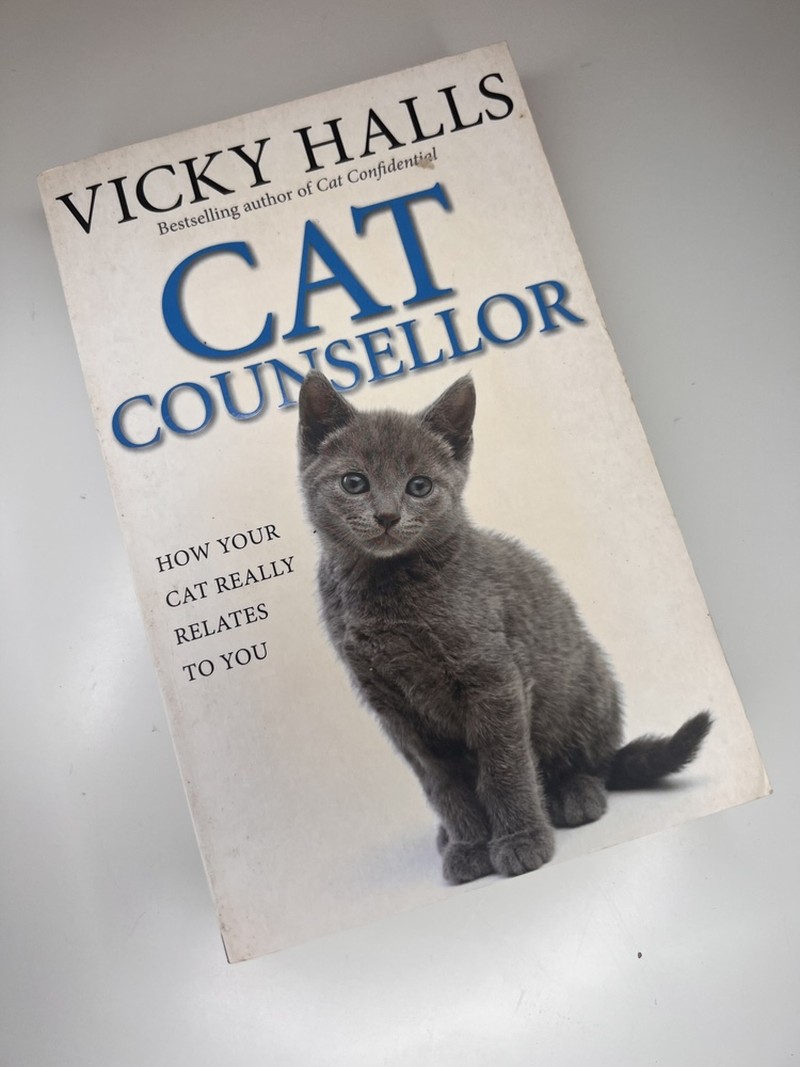 Cat Counsellor by Vicky Halls