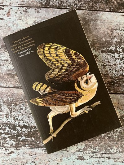 Chouette by Claire Oshetsky