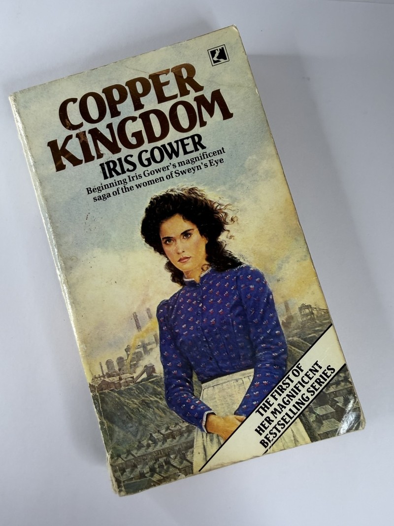 Copper Kingdom by Iris Gower