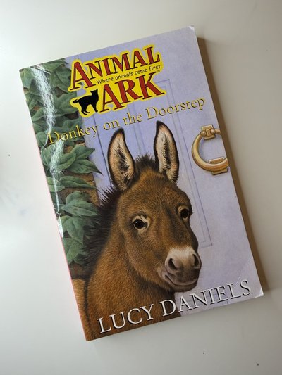 Donkey on the Doorstep by Lucy Daniels