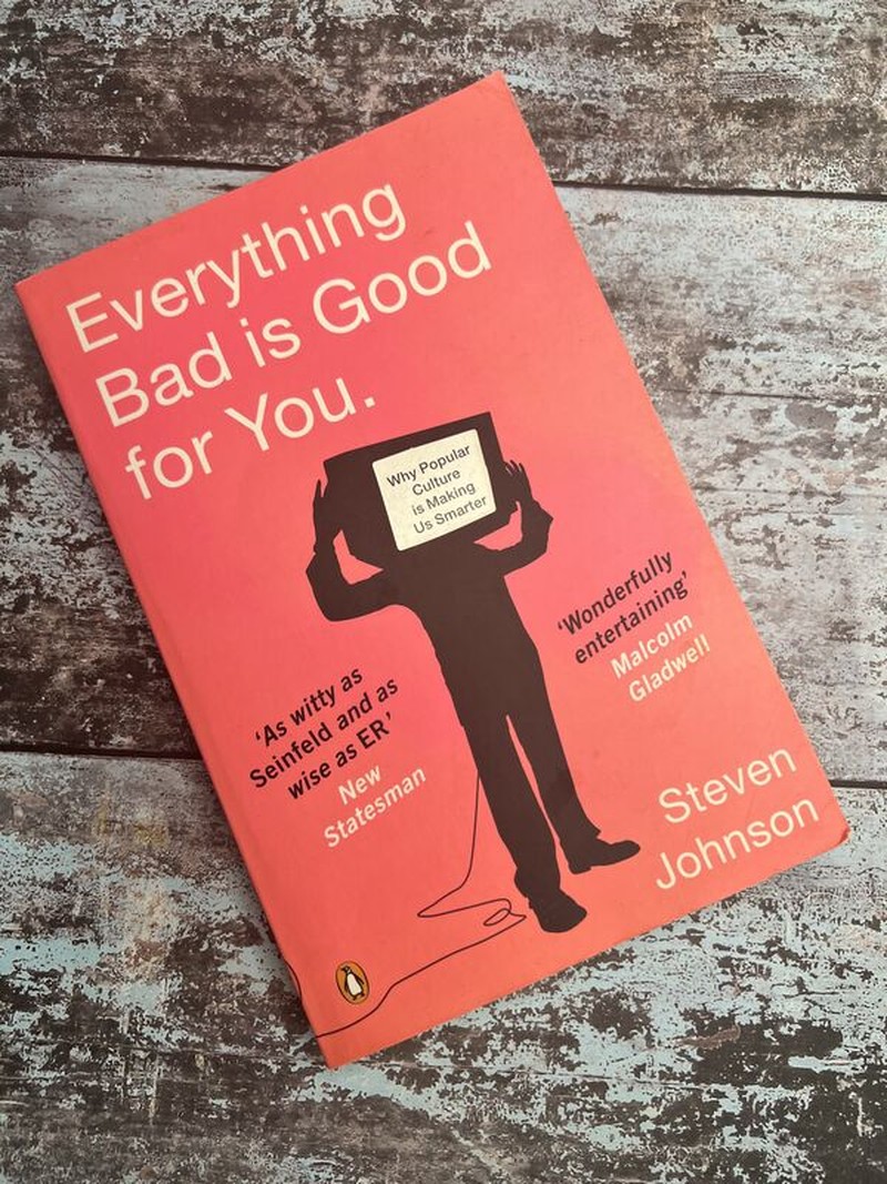 Everything Bad is Good for You by Steven Johnson