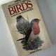 Field Guide to British Birds by Robert Burton — secondhand book
