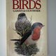 Field Guide to British Birds by Robert Burton — secondhand book