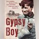 Gypsy Boy by Mikey Walsh — secondhand book