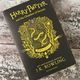 Harry Potter and the Chamber of Secrets by J K Rowling — secondhand book