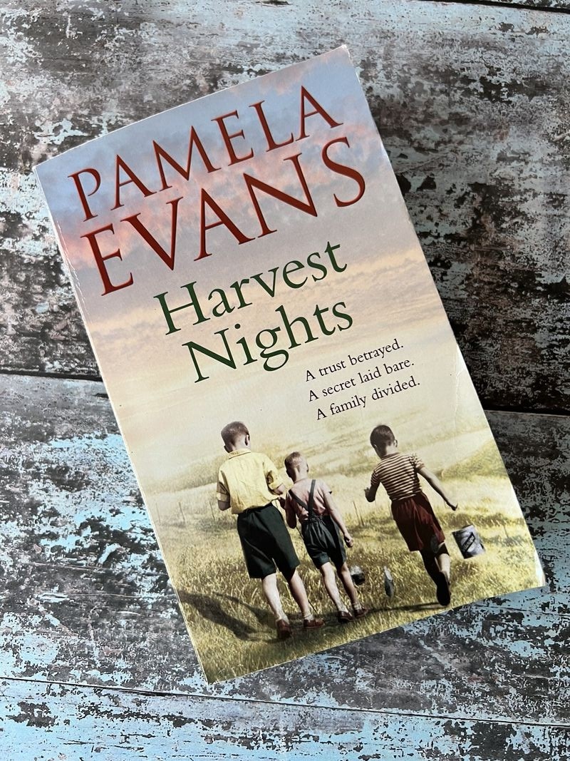 Harvest Nights by Pamela Evans