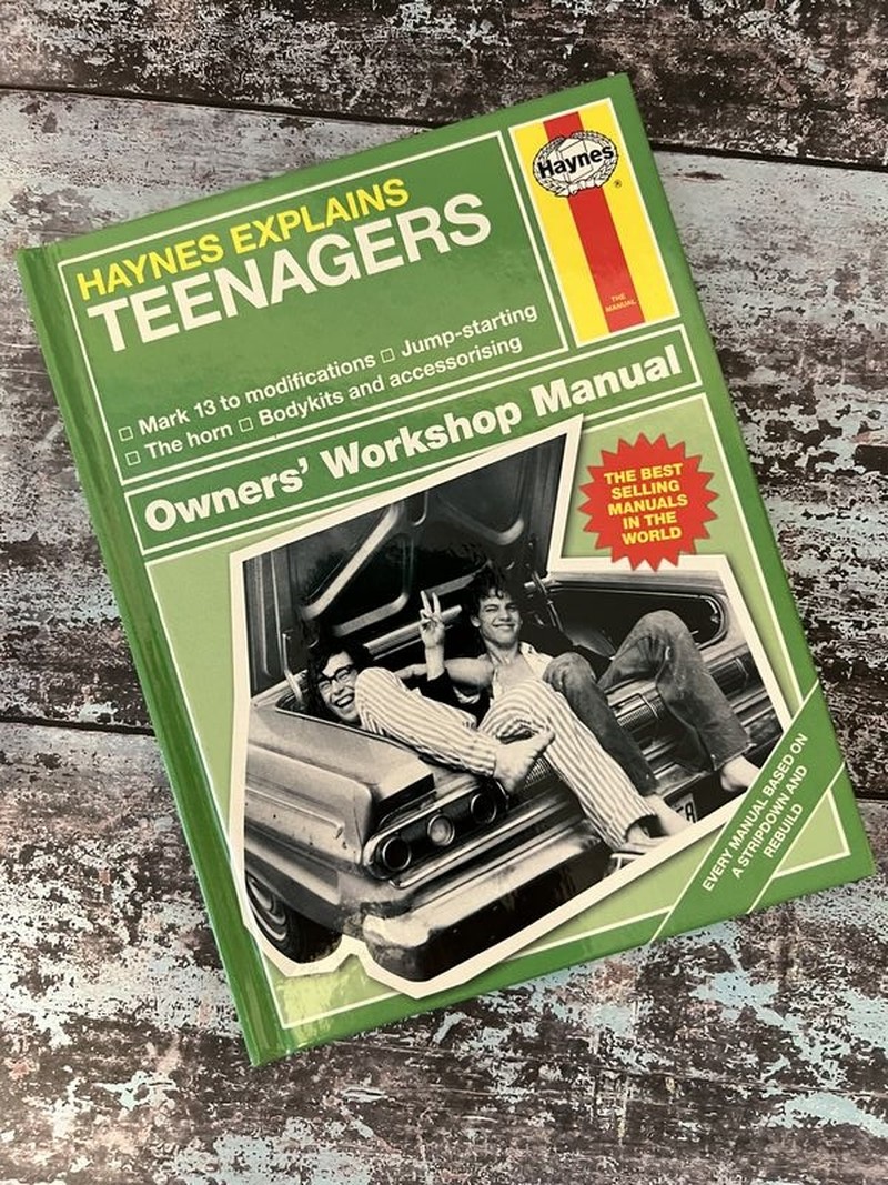 Haynes Explains Teenagers by Boris Starling