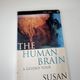 Human Brain a Guided Tour by Susan Greenfield — secondhand book