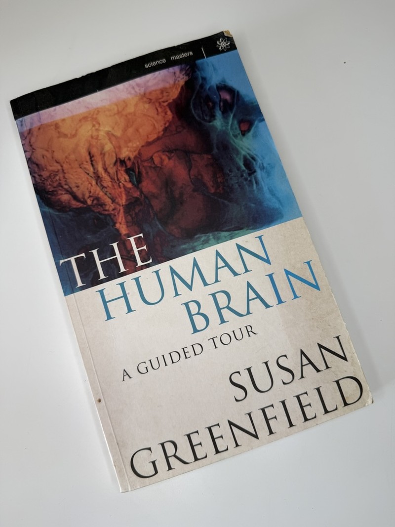 Human Brain a Guided Tour by Susan Greenfield
