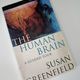 Human Brain a Guided Tour by Susan Greenfield — secondhand book