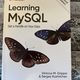 Learning MySQL by Sergey Kuzmichev and Vinicius M Grippa — secondhand book