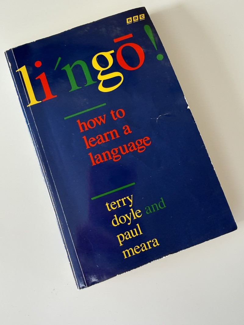 Lingo! by Paul Meara, Terry Doyle