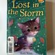 Lost in the Snow / Lost in the Storm by Holly Webb — secondhand book