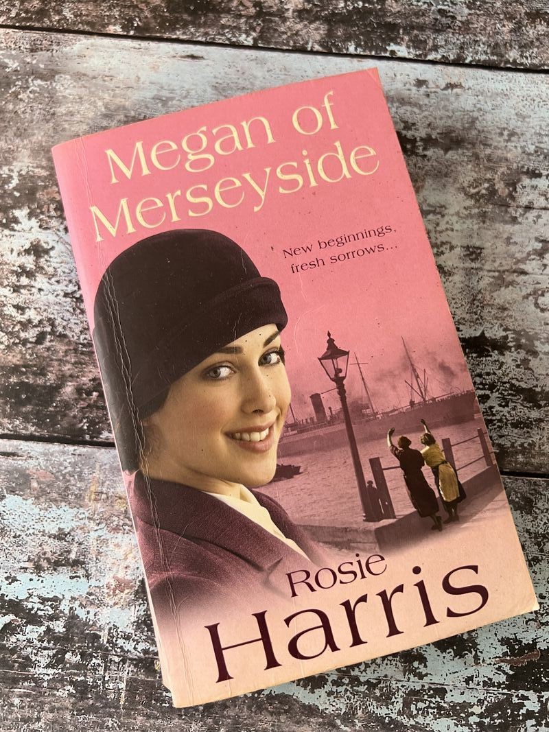Megan of Merseyside by Rosie Harris