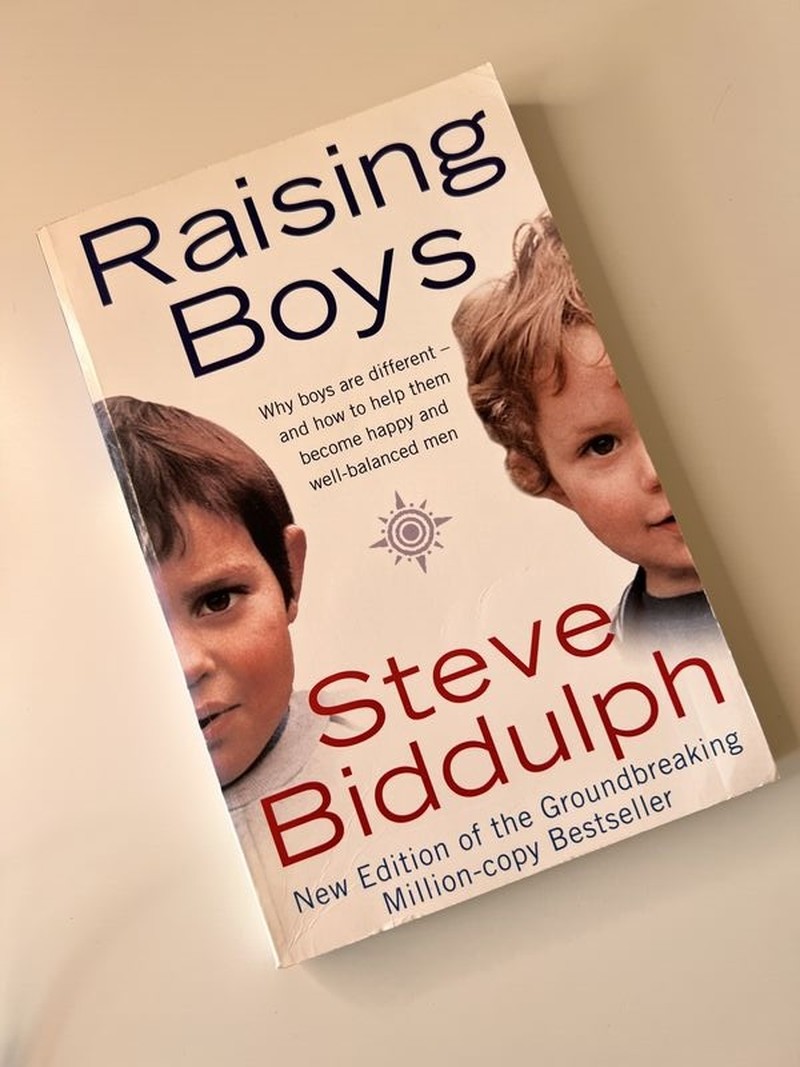 Raising Boys by Steve Biddulph
