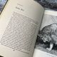 Return to the Wild by Norman Carr — secondhand book