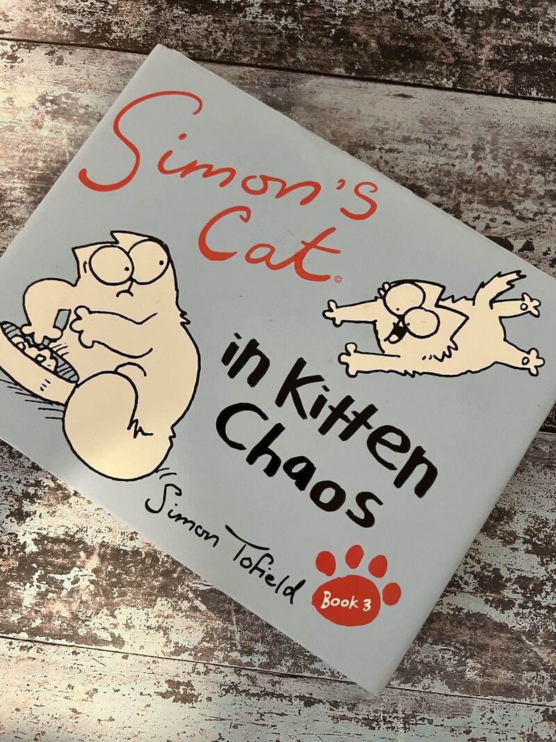 Simon's Cat in Kitten Chaos by Simon Tofield