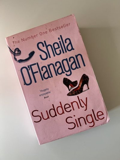 Suddenly Single by Sheila O'Flanagan