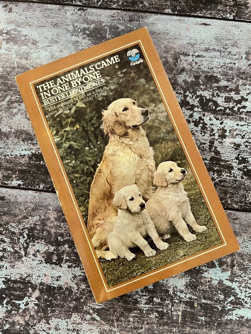 The Animals Came in One by One by Buster Lloyd-Jones