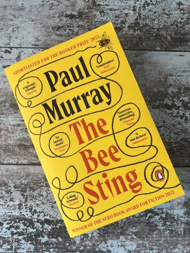 The Bee Sting by Paul Murray