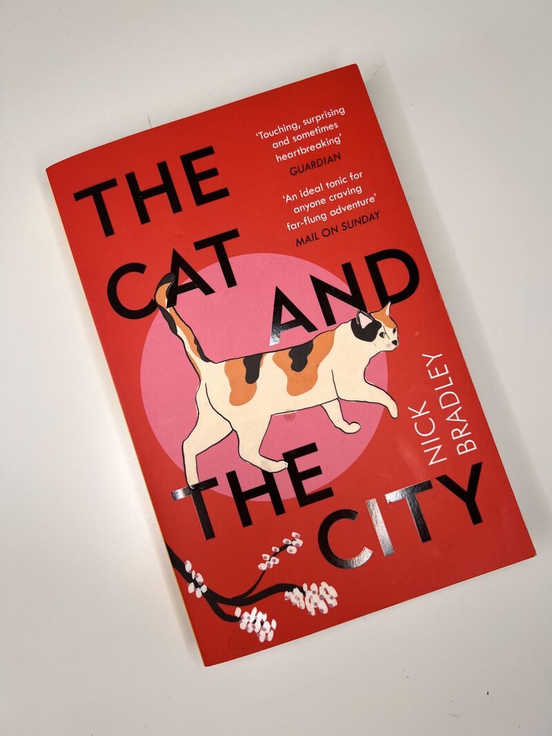The Cat and The City by Nick Bradley