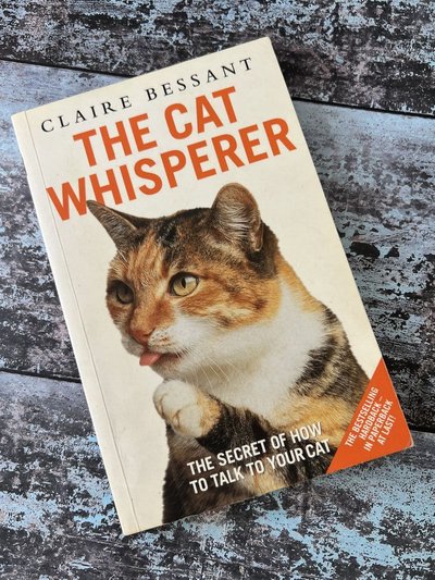 The Cat Whisperer by Claire Bessant