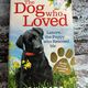 The Dog Who Loved by Jon Katz — secondhand book
