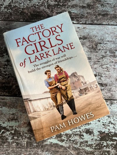 The Factory Girls of Lark Lane by Pam Howes