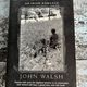 The Falling Angels: An Irish Romance by John Walsh — secondhand book