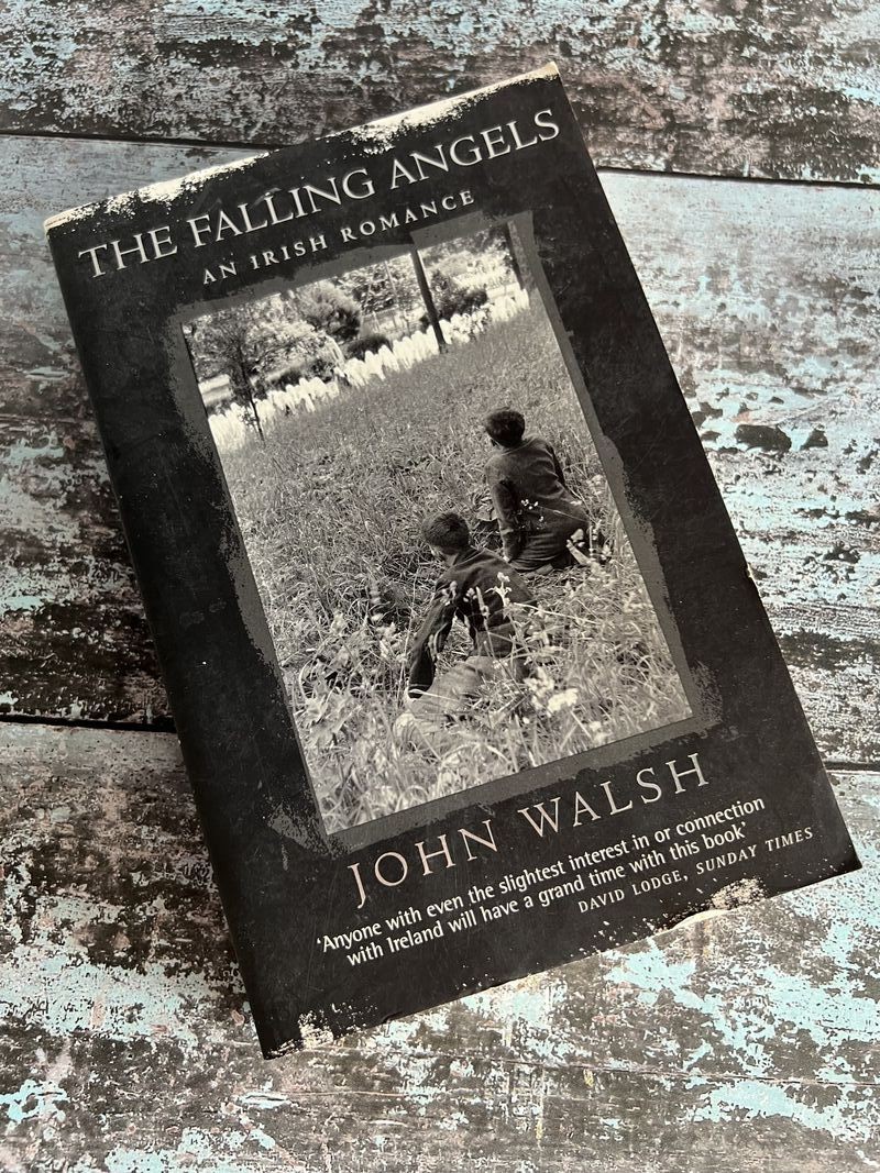 The Falling Angels: An Irish Romance by John Walsh