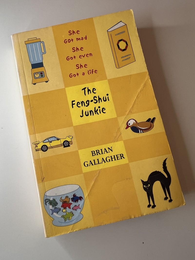 The Feng-Shui Junkie by Brian Gallagher