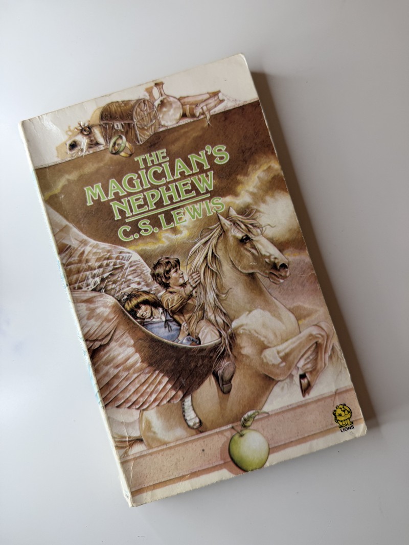 The Magician's Nephew by C S Lewis