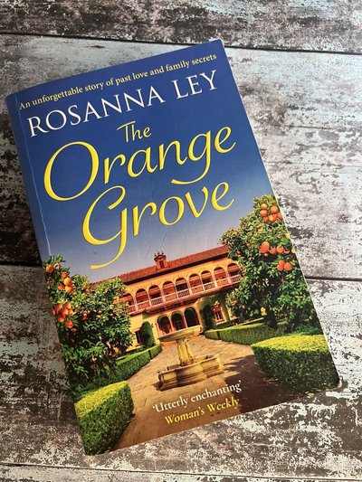 The Orange Grove by Rosanna Ley