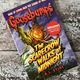 The Scarecrow Walks at Night (Goosebumps #20) by R L Stine — secondhand book