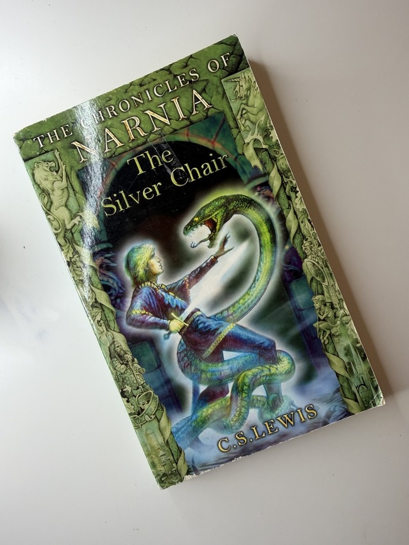 The Silver Chair by C S Lewis