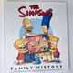 The Simpsons Family History by Matt Groening — secondhand book