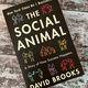 The Social Animal by David Brooks — secondhand book