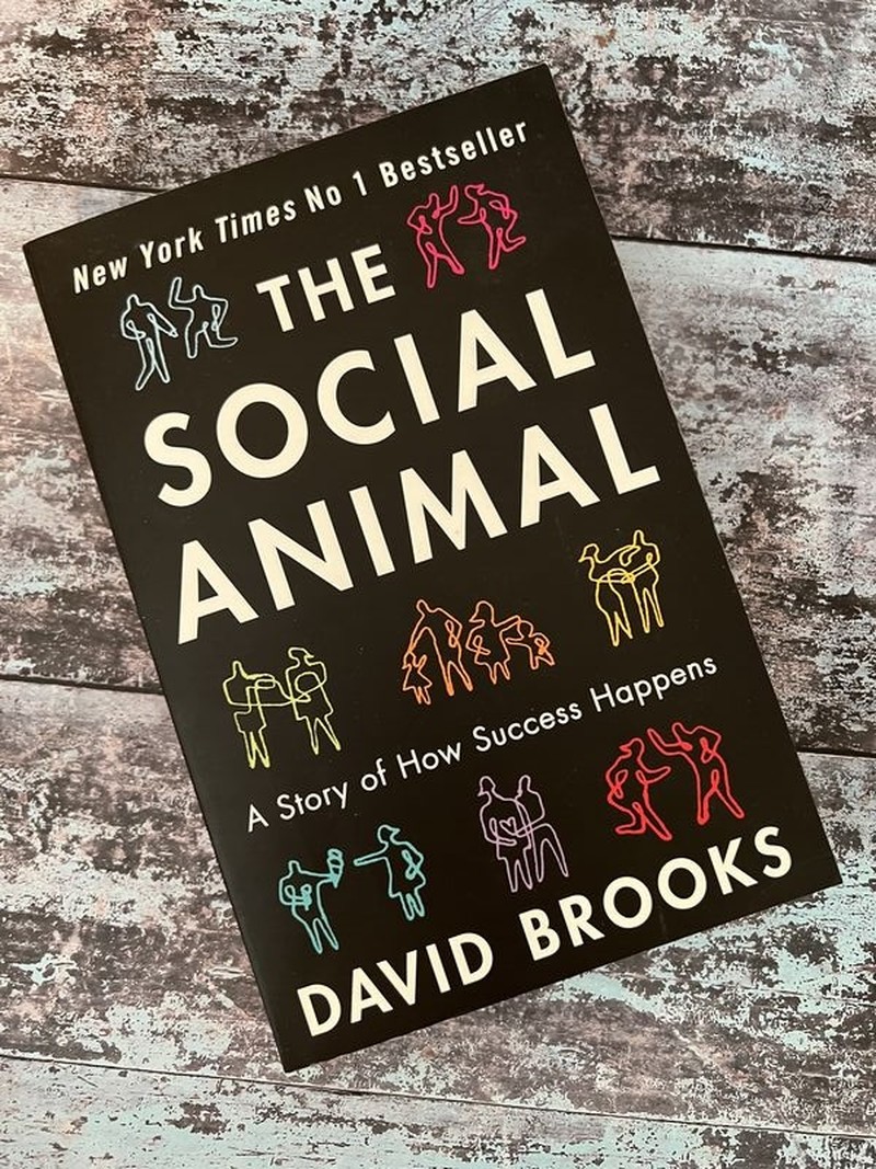 The Social Animal by David Brooks